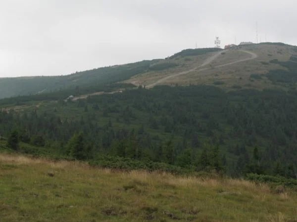 Vladeasa Mountains Tour