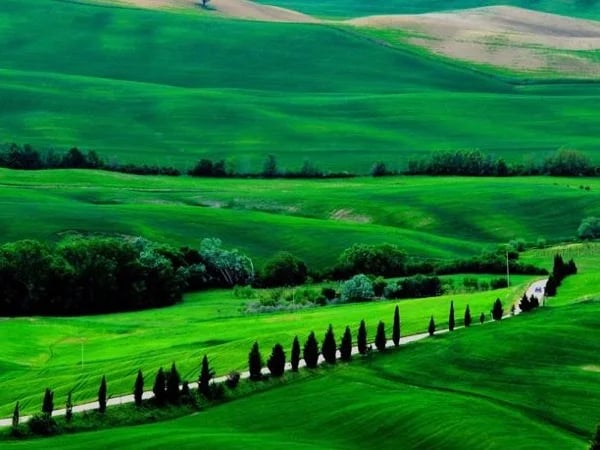 Tuscany Countryside: Lajatico, Volterra & San Gimignano