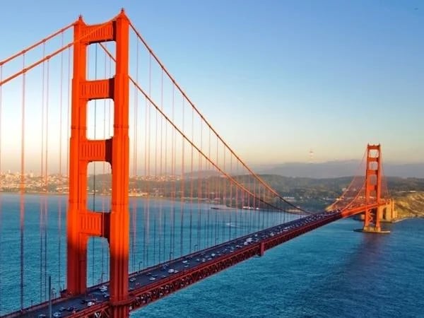 Cover media image