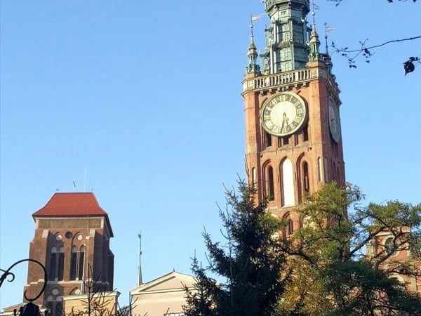 Cover media image