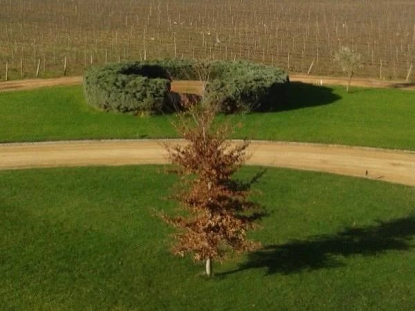 Maipo valley wine tour
