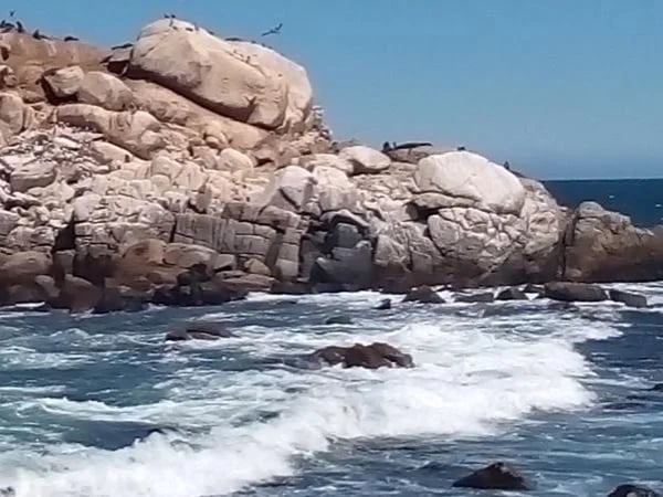 Valparaiso and Viña del Mar Wonderful Tour