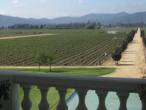 Colchagua Valley Wine Tour