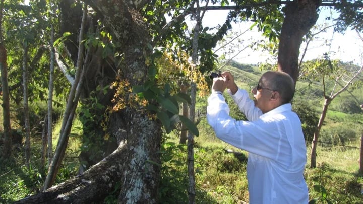 Discovering Wild-Life Guanacaste Mountains