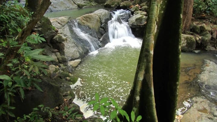 Guanacaste Rivers, from the heart of earth...