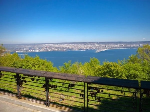 Cover media image