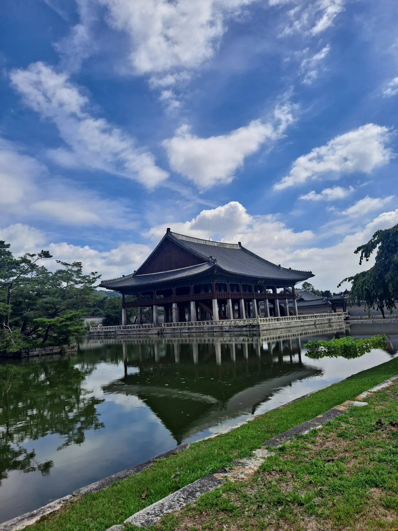 Cover media image