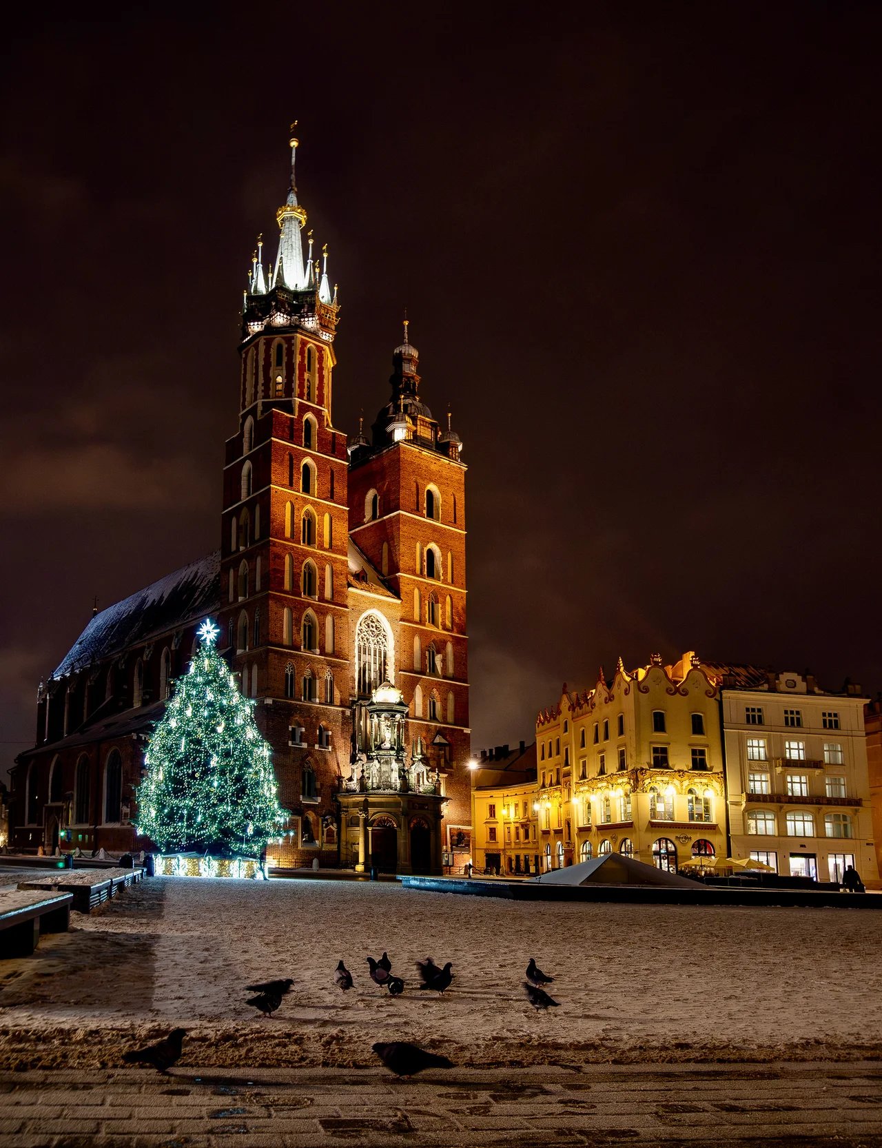 Cover media image