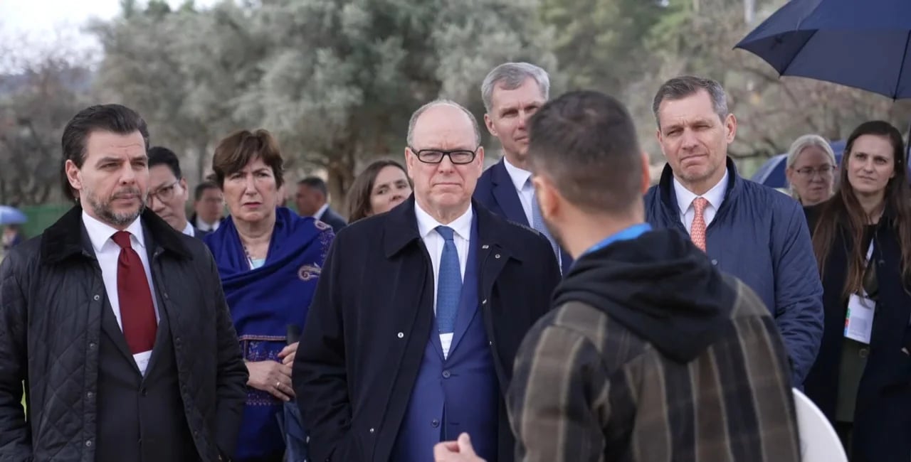 Michael P.'s gallery