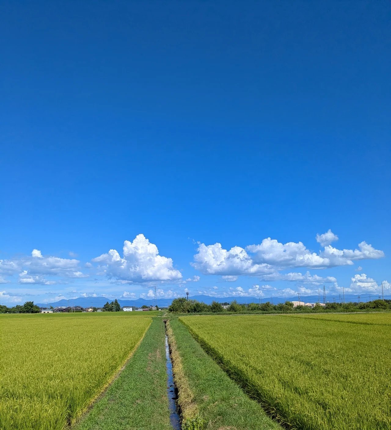Cover media image