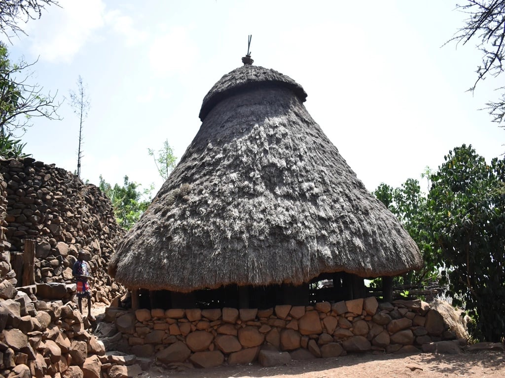 Hailemeskel A.'s gallery
