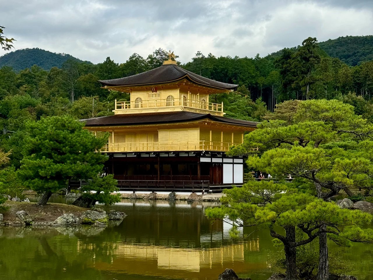 Cover media image