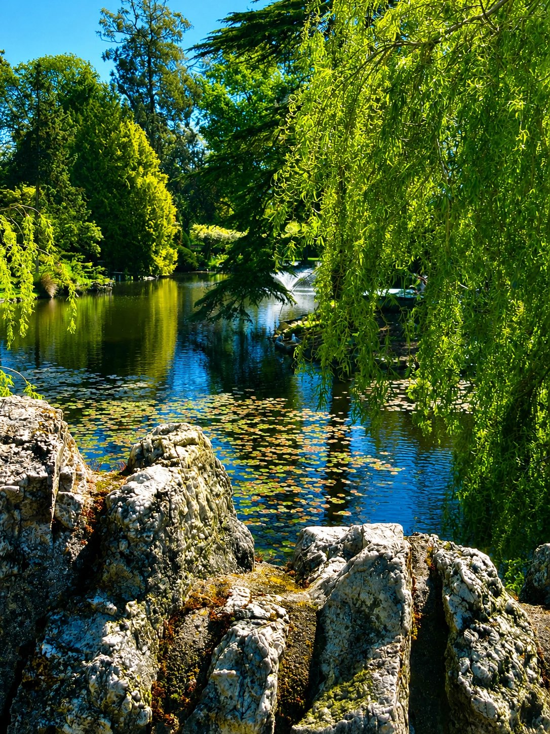 Cover media image