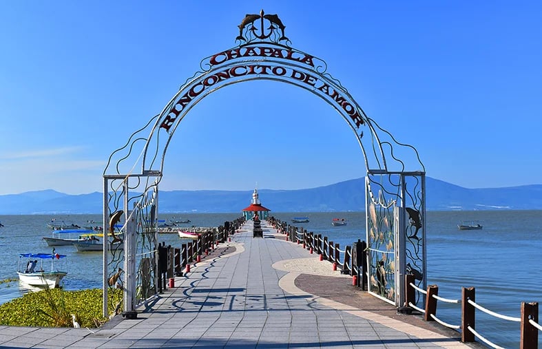 Cover media image