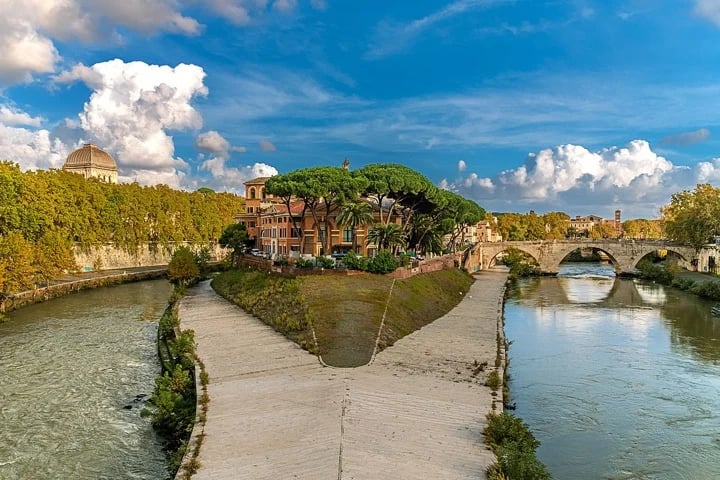 Cover media image