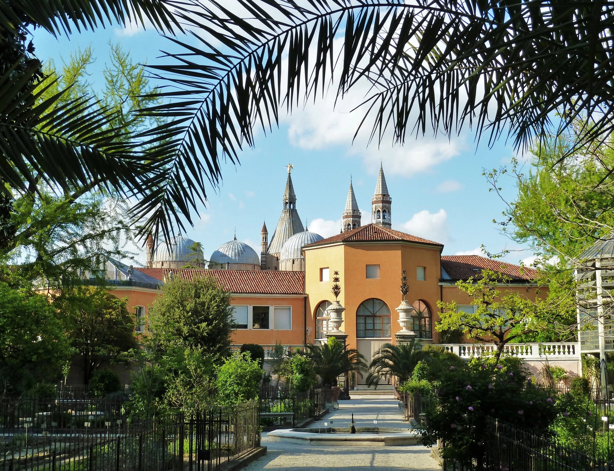 Cover media image
