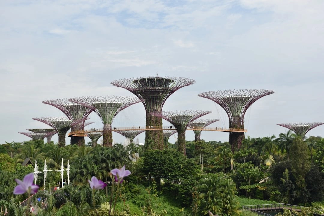Complete Singapore: Full-Day Walking Tour Through the Neighbourhoods
