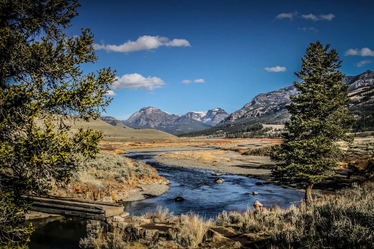 Cover media image