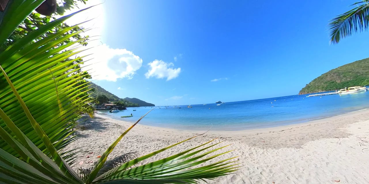Cover media image