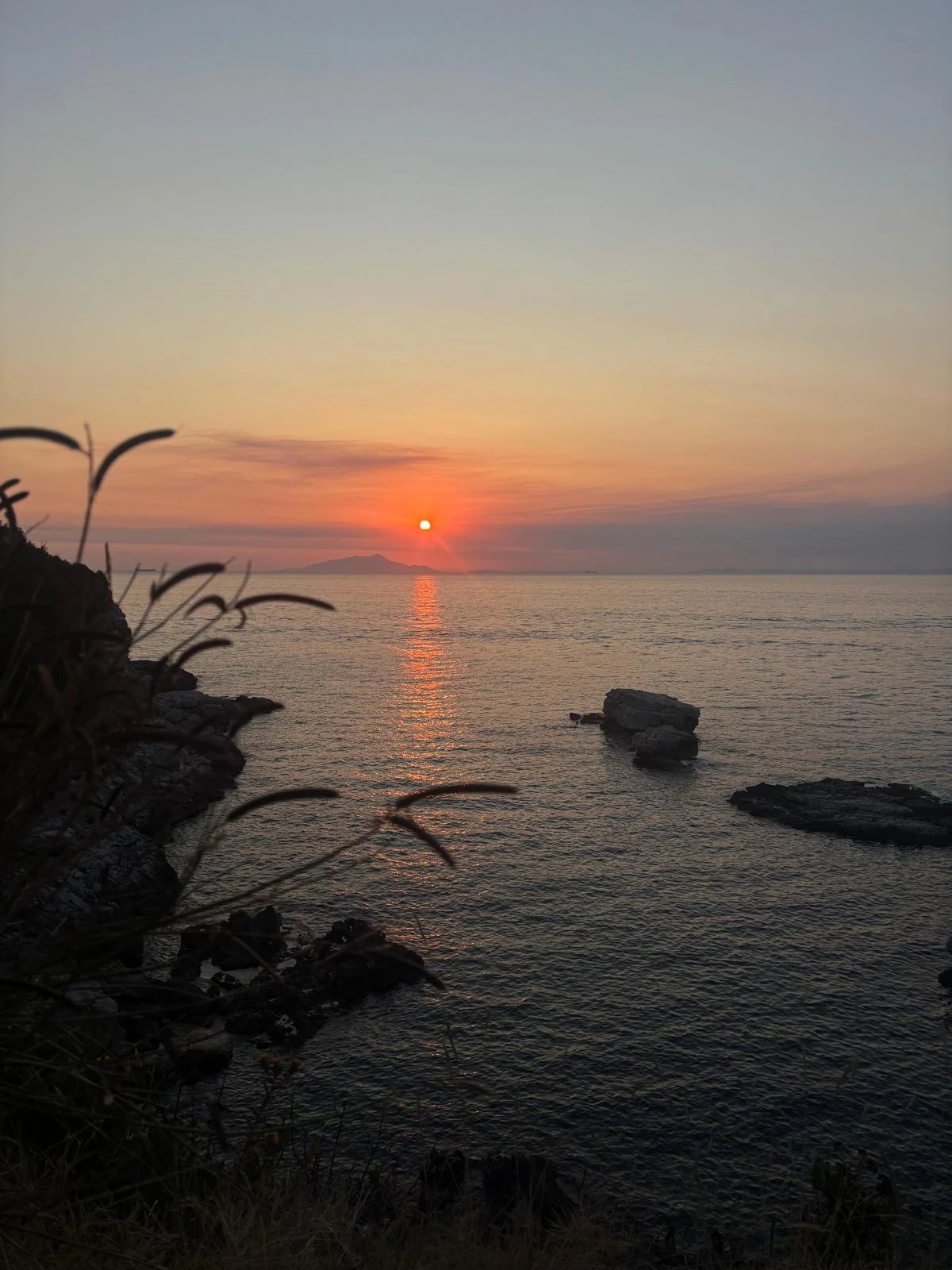 Cover media image