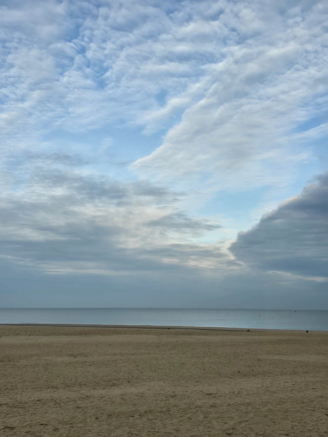 Cover media image