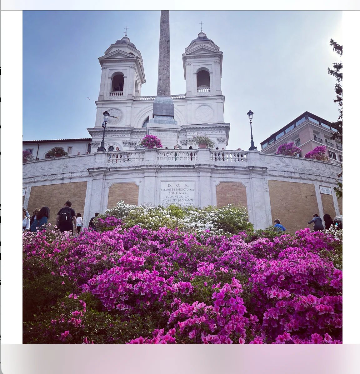 Cover media image