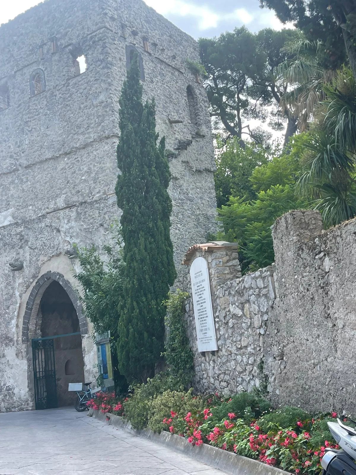 Immacolata C.'s gallery