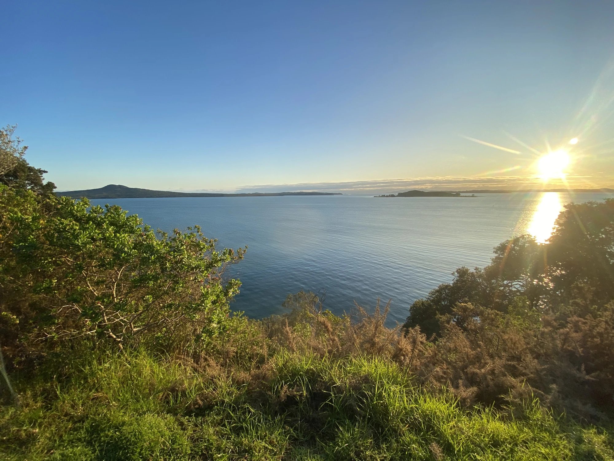 Cover media image