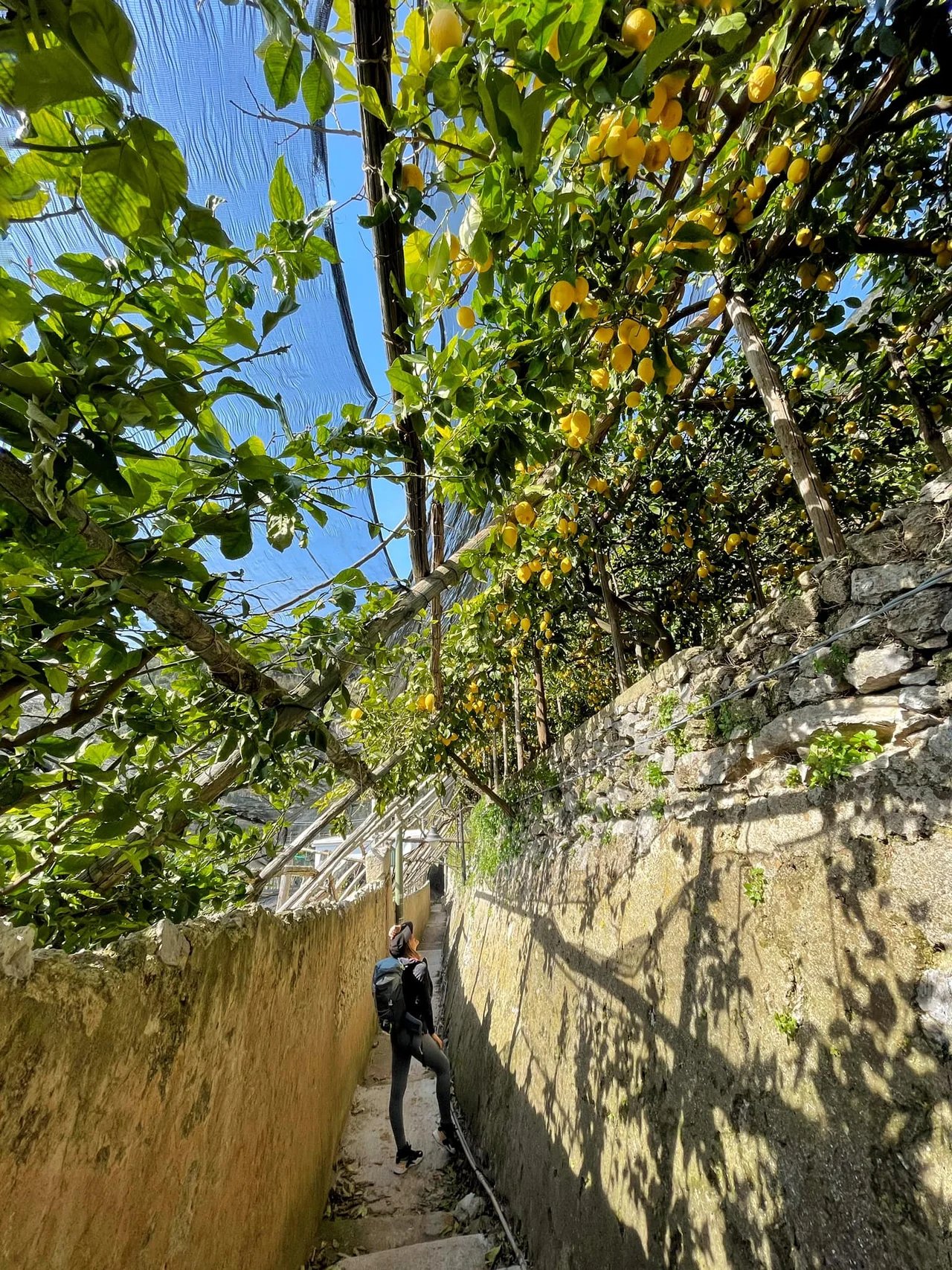 Cover media image