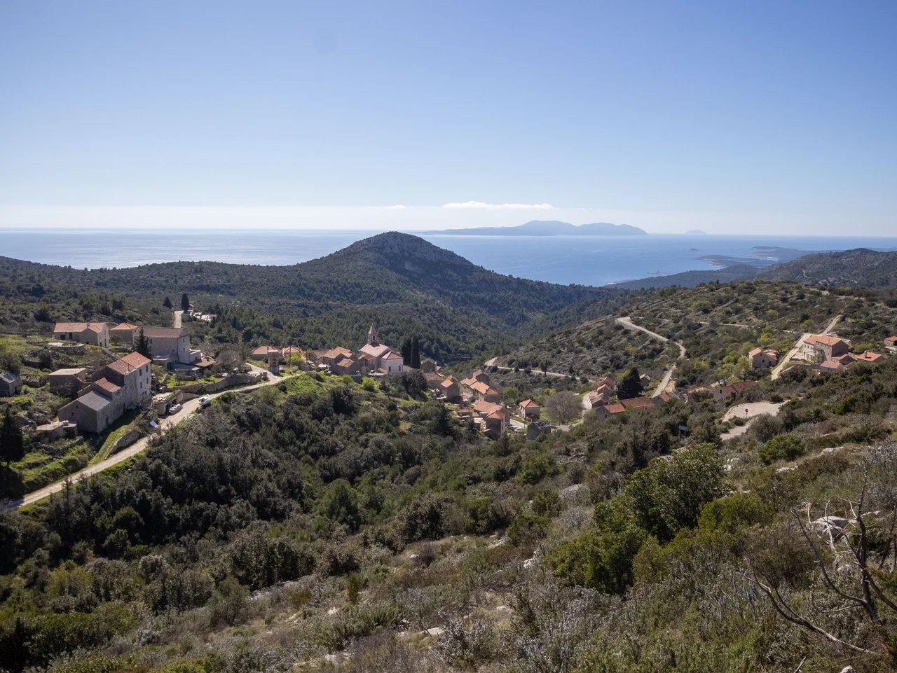 Cover media image