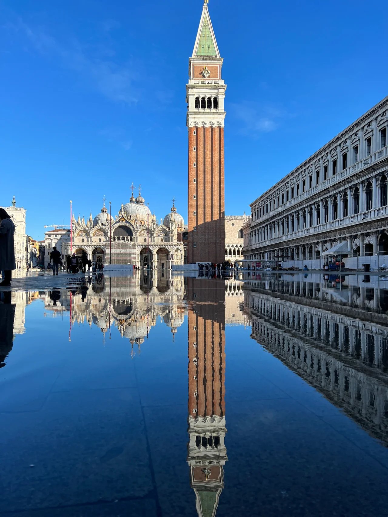 Cover media image