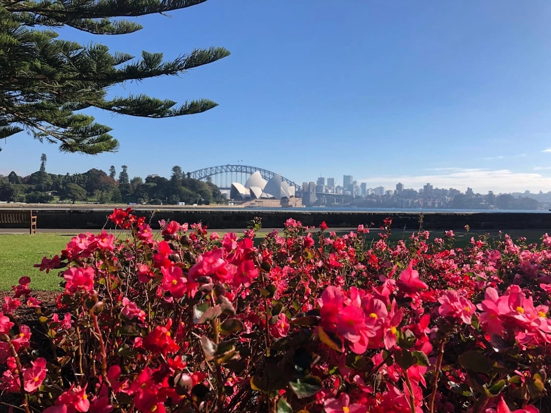 Ultimate Sydney: Full-Day Private Driving Tour from Highlights to Hidden Layers