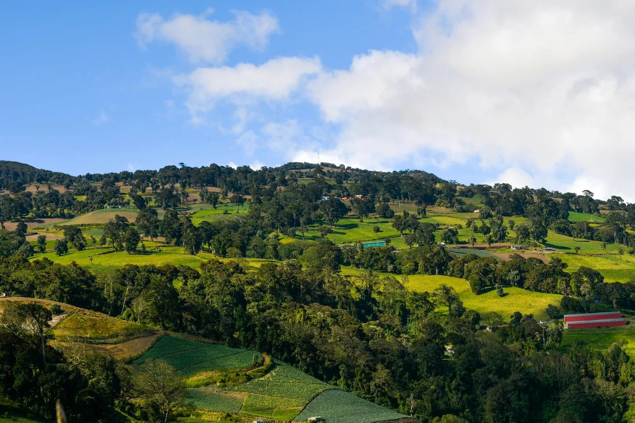 Cover media image