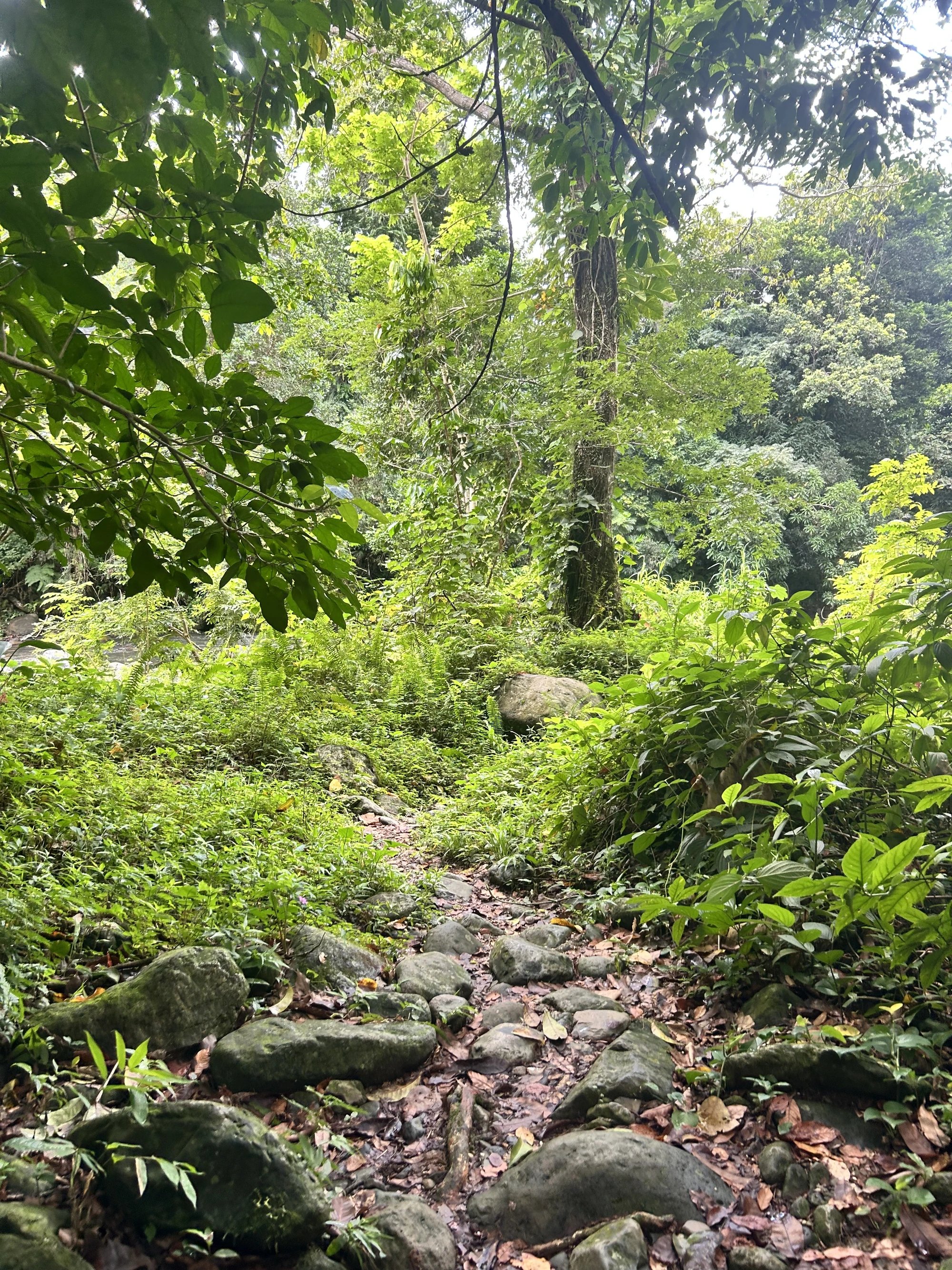 Cover media image
