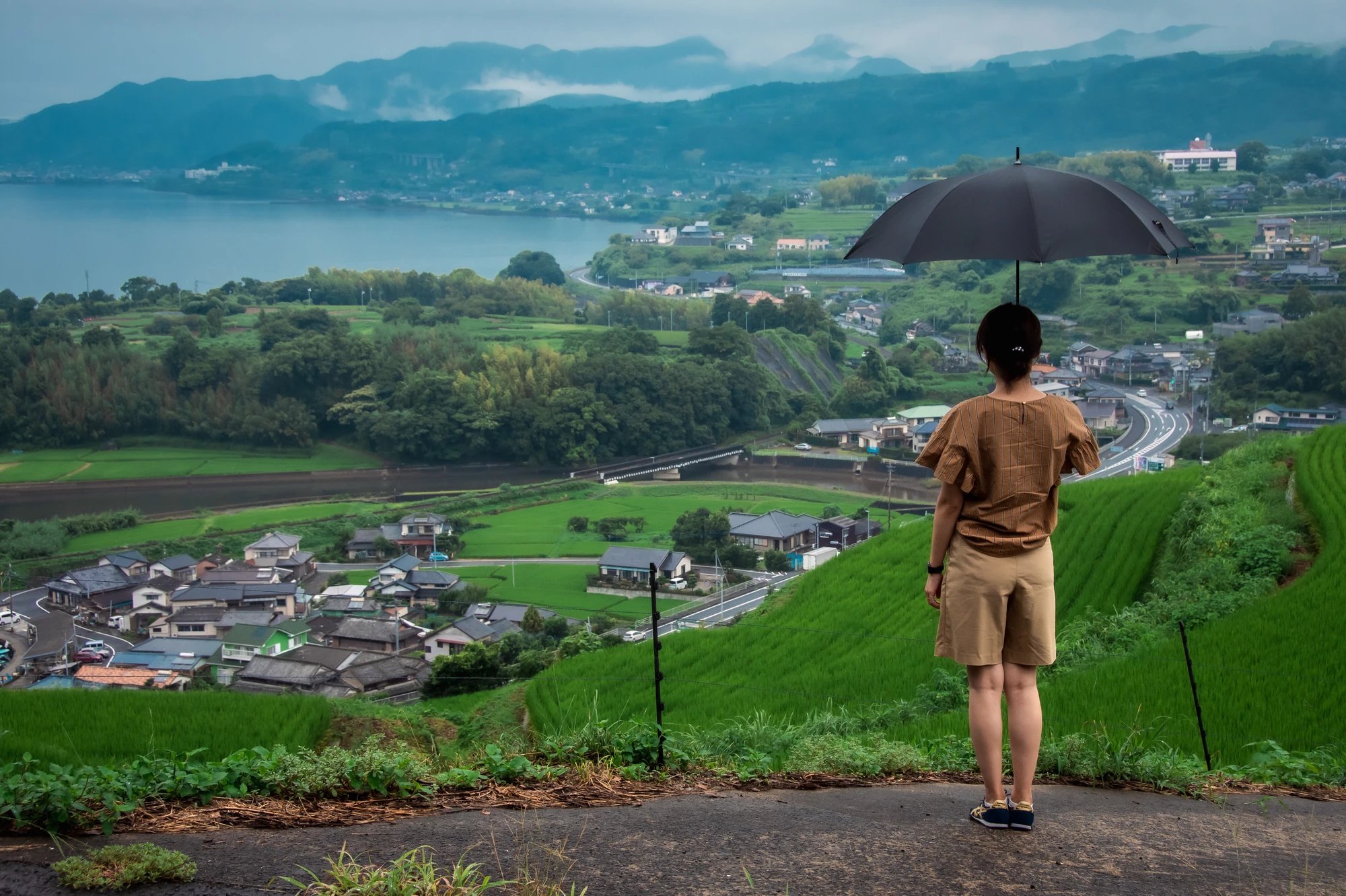 Cover media image