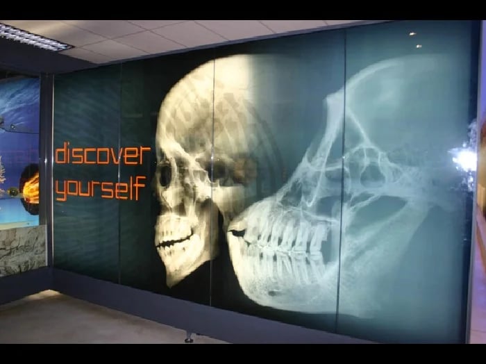 Cover media image