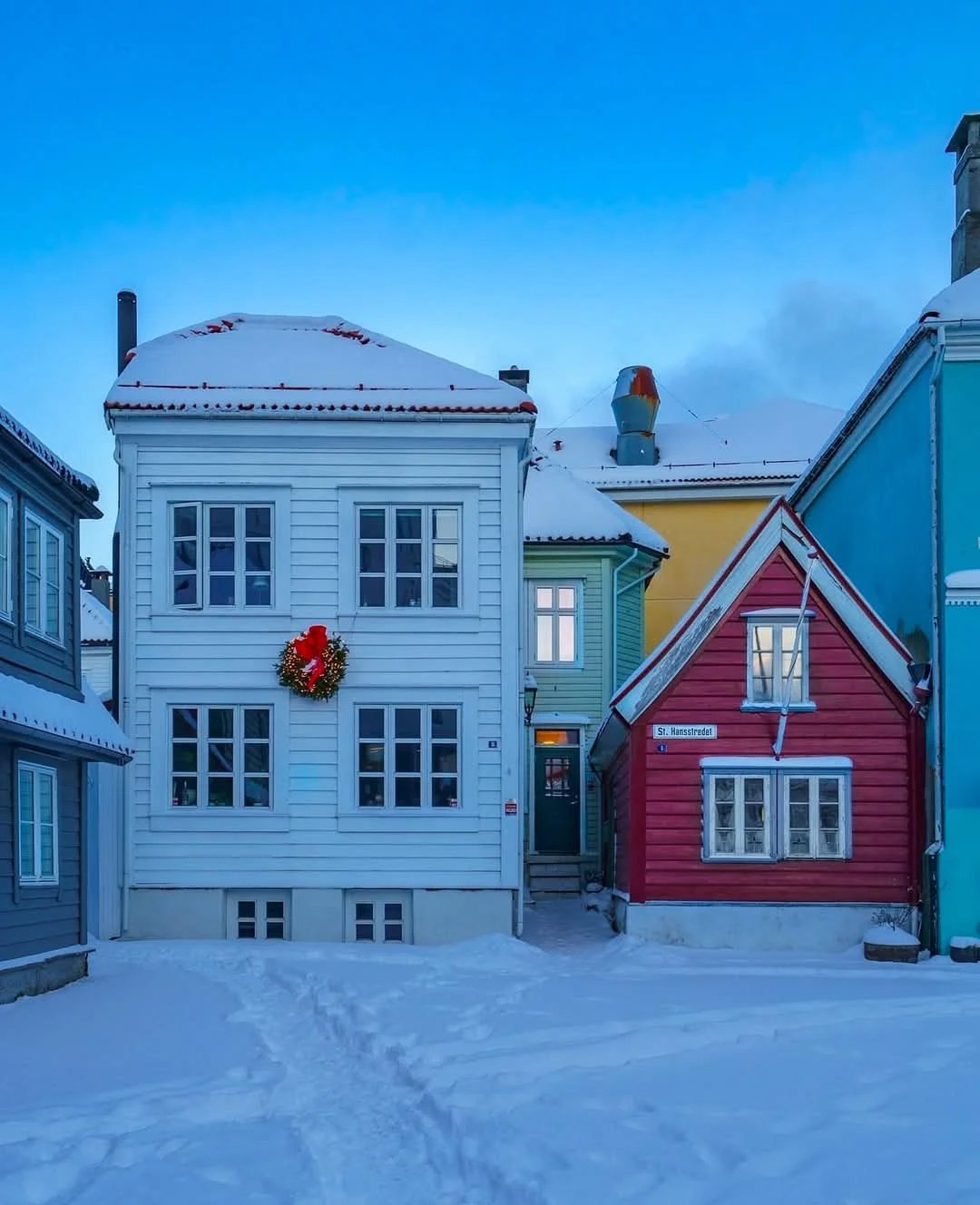 Olena H.'s gallery