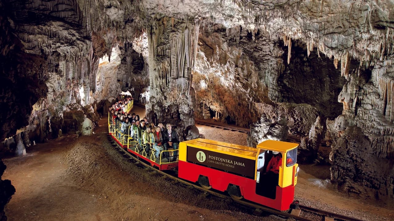 Cover media image