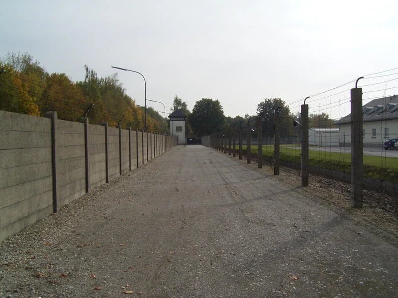 Cover media image