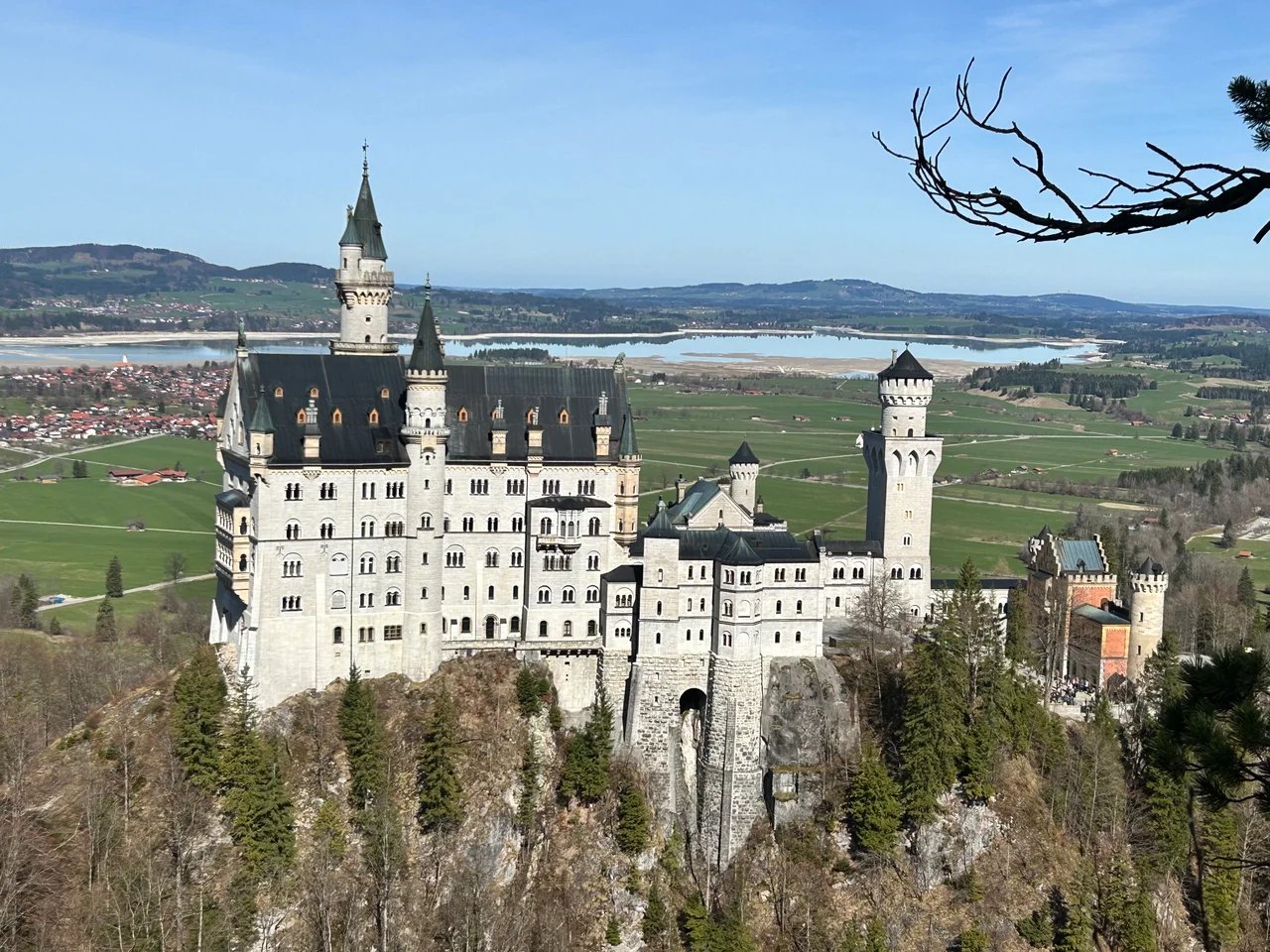 Cover media image
