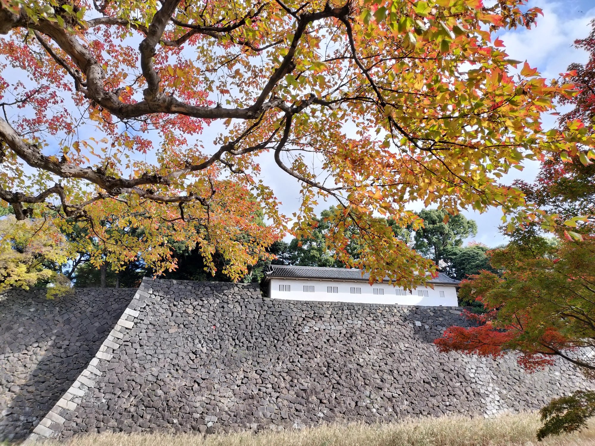 Cover media image