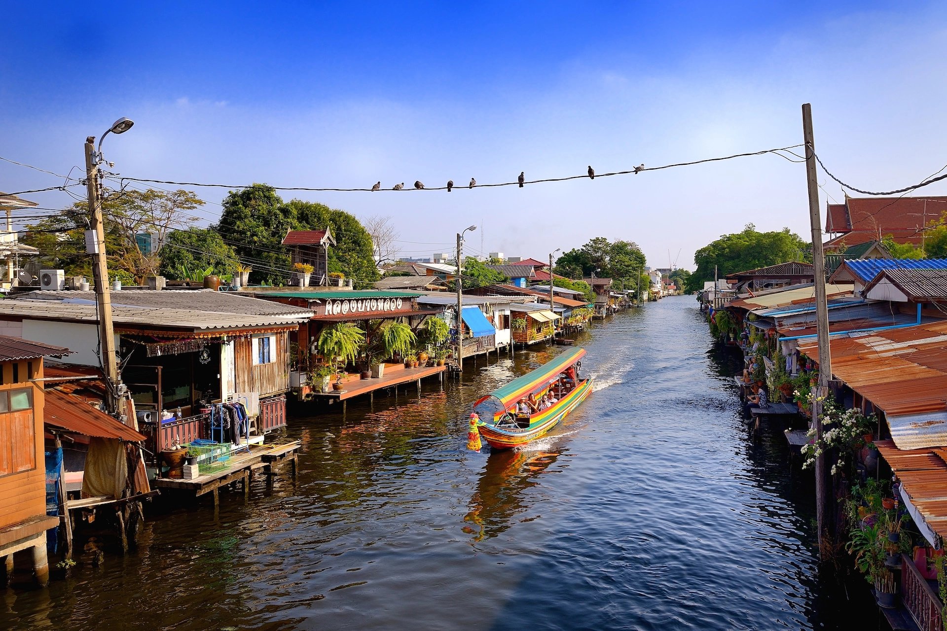 Cover media image