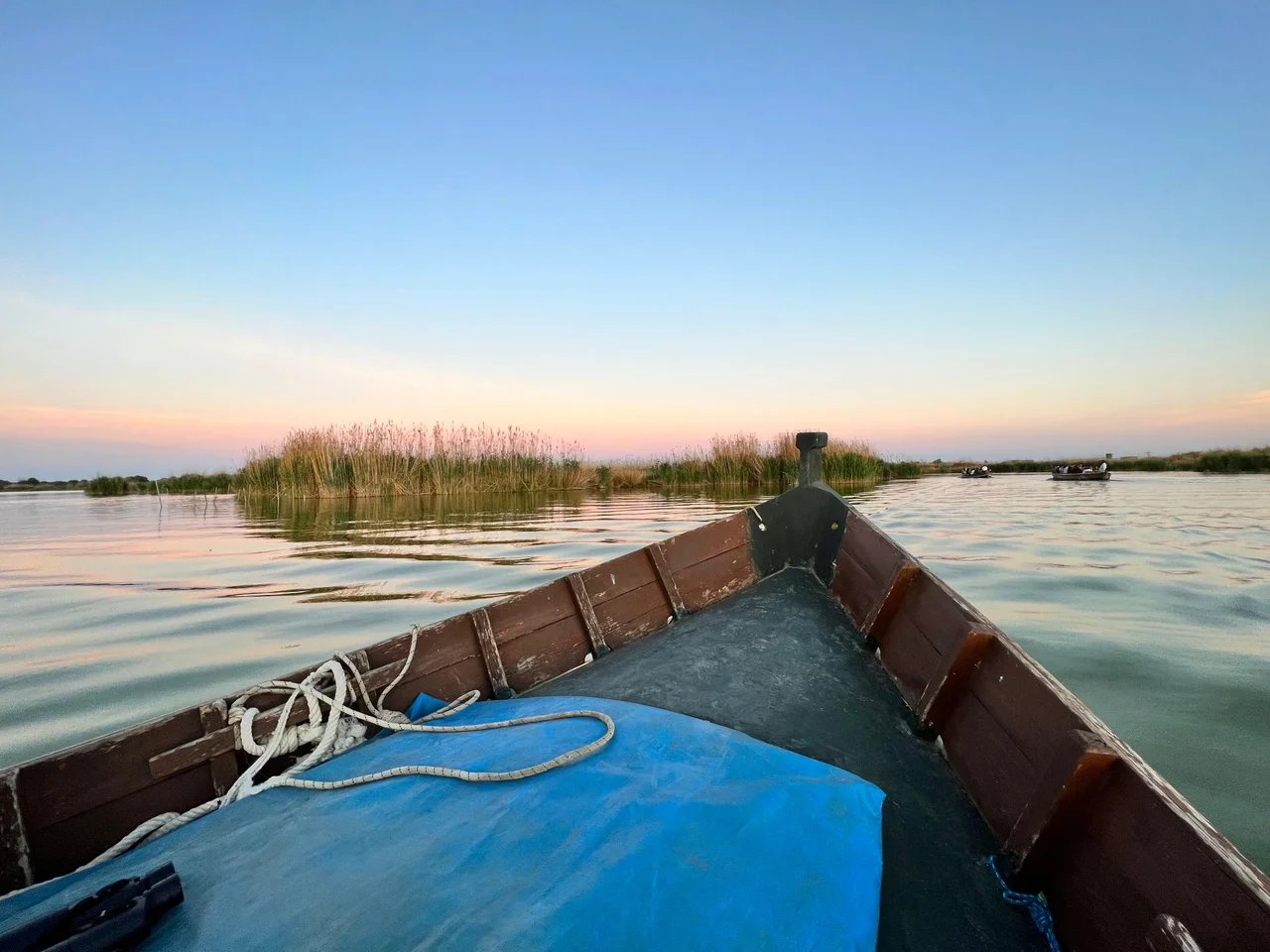 Cover media image