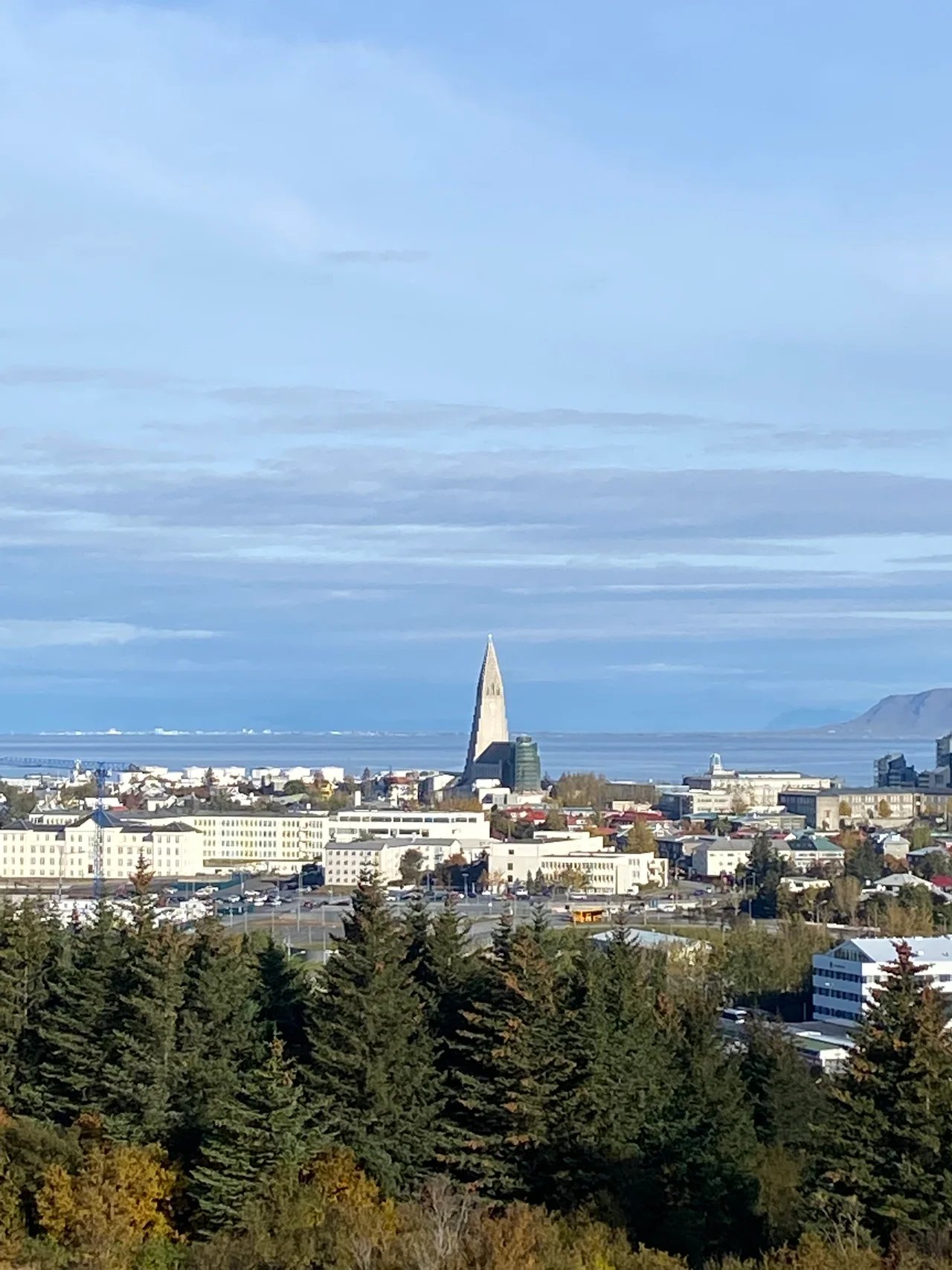 Cover media image
