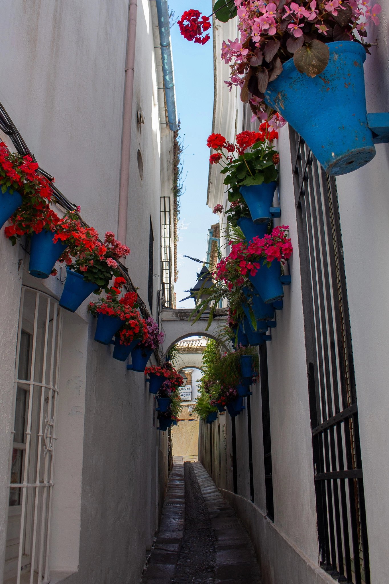 Ana S.'s gallery