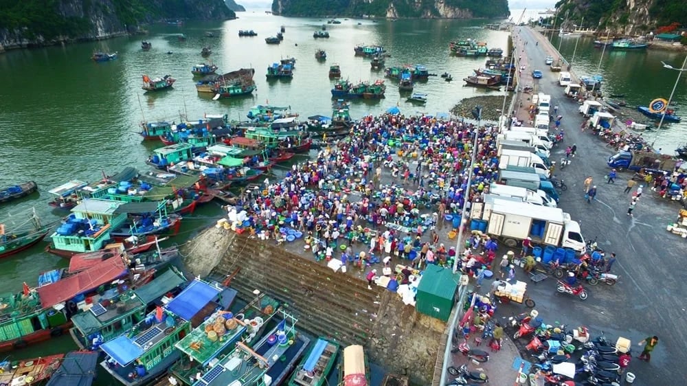 Cover media image