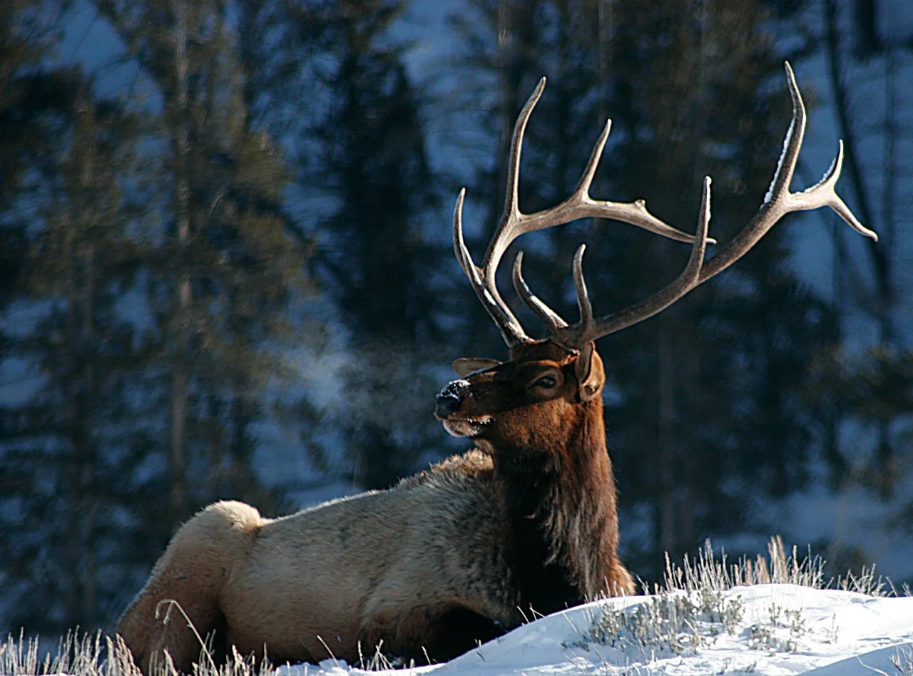 Cover media image