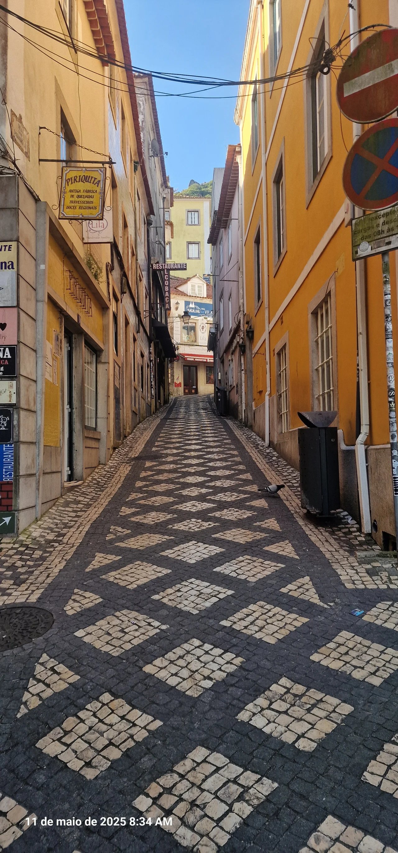 Diogo M.'s gallery