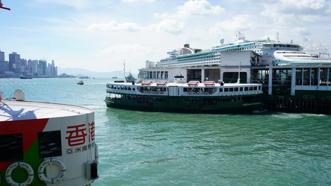 Iconic Hong Kong: Half-Day Private Driving Tour with Panoramic Stops