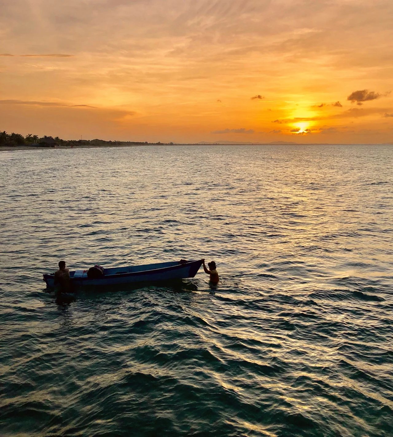 Cover media image